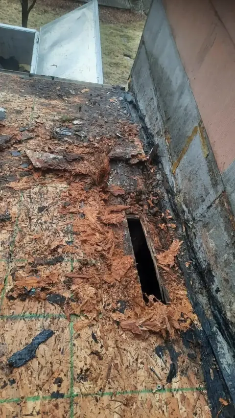 Rotted roof decking uncovered during a tear-off, before repairs